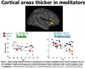 Mindfulness Meditation Training Changes Brain Structure in Eight Weeks