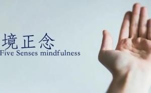 五境（色、声、香、味、触）正念 The Five Senses mindfulness
